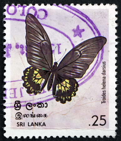 SRI LANKA - CIRCA 1978: a stamp printed in Sri Lanka shows Birdwing Butterfly, Troides Helena Darsius, Insect, circa 1978のeditorial素材