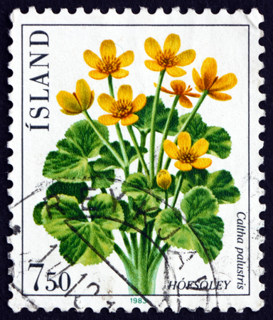 ICELAND - CIRCA 1983: a stamp printed in the Iceland shows Marsh-marigold, Caltha Palustris, Perennial Herbaceous Plant, circa 1983のeditorial素材