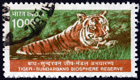 INDIA - CIRCA 2000: a stamp printed in India shows Tiger, Panthera Tigris, Sundarbans National Biosphere Reserve, circa 2000のeditorial素材
