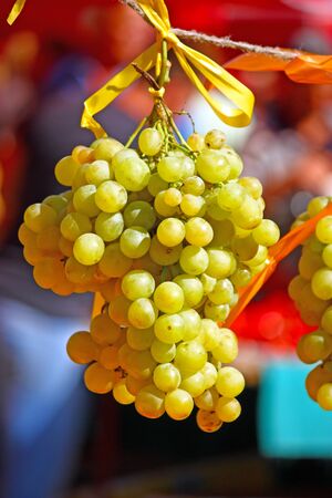 Ripe grapes on the farmer's marketの写真素材