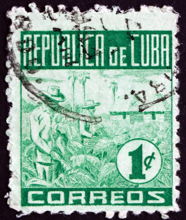 CUBA - CIRCA 1948: a stamp printed in Cuba shows Tobacco Picking, Cubas Tobacco Industry, circa 1948のeditorial素材