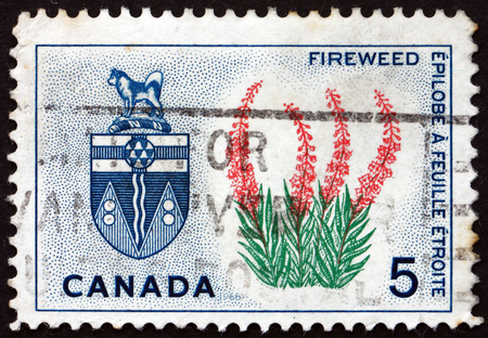 CANADA - CIRCA 1966: a stamp printed in the Canada shows Fireweed and Arms of Yukon, circa 1966のeditorial素材