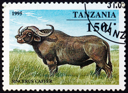 TANZANIA - CIRCA 1995: a stamp printed in Tanzania shows African buffalo, syncerus caffer, is a large African bovine, circa 1995のeditorial素材