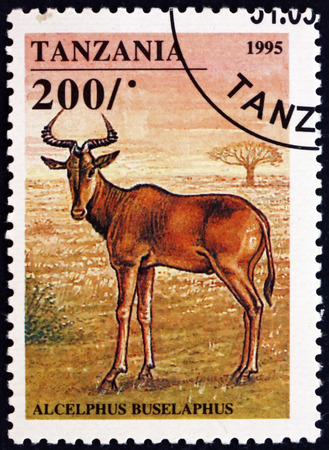 TANZANIA - CIRCA 1995: a stamp printed in Tanzania shows Hartebeest, alcelaphus buselaphus, is an African antelope, circa 1995のeditorial素材