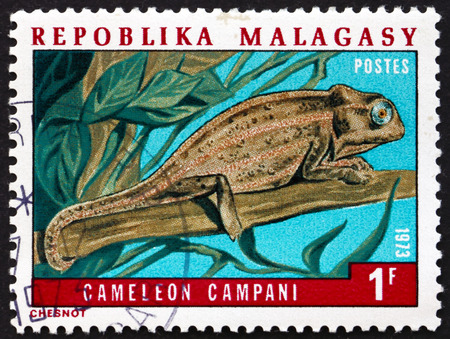 MALAGASY - CIRCA 1973: a stamp printed in Malagasy, Madagascar shows Champani chameleon, lizard, circa 1973のeditorial素材