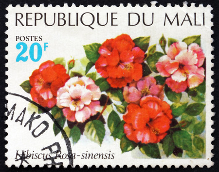 MALI - CIRCA 1971: a stamp printed in Mali shows Chinese hibiscus, Hibiscus rosa-sinensis, a flowering plant, circa 1971のeditorial素材