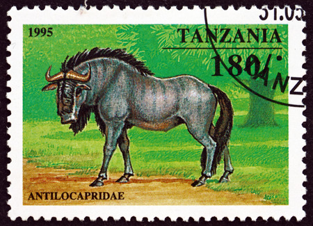 TANZANIA - CIRCA 1995: a stamp printed in Tanzania shows Antilocapridae, circa 1995のeditorial素材