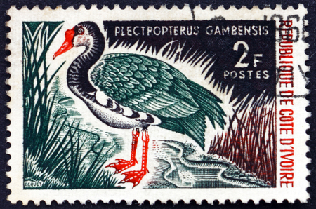 IVORY COAST - CIRCA 1966: a stamp printed in Ivory Coast shows Spur-winged goose, plectropterus gambensis, is a large bird, circa 1966のeditorial素材