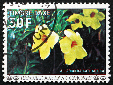 COMOROS - CIRCA 1977: a stamp printed in Comoros shows Golden trumpet, allamanda cathartica, flowering plant, circa 1977のeditorial素材