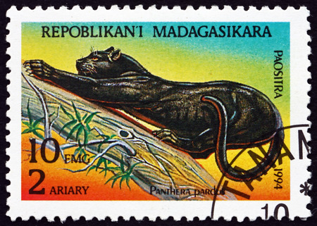 MALAGASY - CIRCA 1995: a stamp printed in Malagasy, Madagascar shows Leopard, Panthera Pardus, Animal, circa 1995のeditorial素材