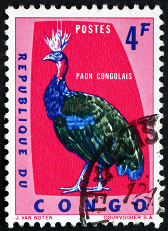 CONGO - CIRCA 1963: a stamp printed in Congo shows Congolese Peacock, Afropavo Congensis, is a Species of Peafowl Native to the Congo Basin, circa 1963のeditorial素材