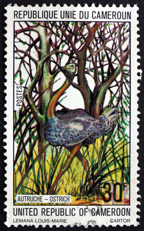 CAMEROON - CIRCA 1977: a stamp printed in Cameroon shows Ostrich, Struthio Camelus, bird, circa 1977のeditorial素材