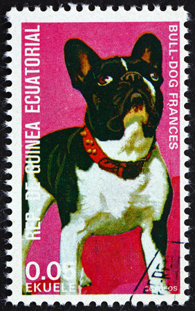 EQUATORIAL GUINEA - CIRCA 1977: a stamp printed in Equatorial Guinea shows Bulldog, Canis Lupus Familiaris, Pet, circa 1977のeditorial素材