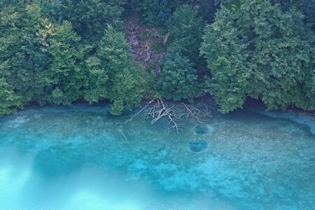 Submerged branches in deep cold waterの写真素材
