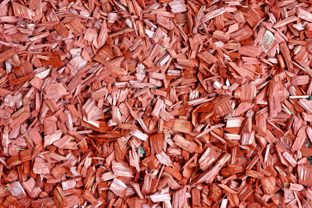 Texture of mulch. Natural background of wood chipsの写真素材