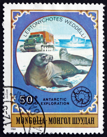 MONGOLIA - CIRCA 1980: a stamp printed in Mongolia shows Weddell Seal, Leptonychotes Weddellii, is a True Seal, circa 1980のeditorial素材