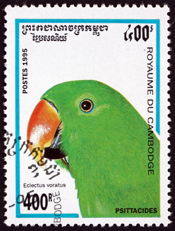 CAMBODIA - CIRCA 1995: a stamp printed in Cambodia shows eclectus parot, eclectus roratus, bird, circa 1995のeditorial素材