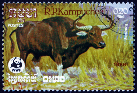 CAMBODIA - CIRCA 1986: a stamp printed in Cambodia shows kouprey, bos sauveli, wild bovine species from Southeast Asia, circa 1986のeditorial素材