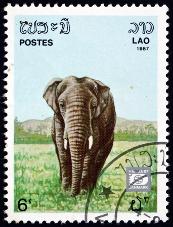LAOS - CIRCA 1987: a stamp printed in Laos shows Indian elephant, elephas maximus indicus, is one of three recognized subspecies of the Asian elephant, circa 1987のeditorial素材