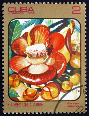 CUBA - CIRCA 1984: a stamp printed in Cuba shows cannonball tree, couroupita guianensis, is a deciduous tree native to rainforests of Central and South America, circa 1984のeditorial素材