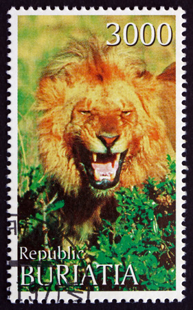 BURYATIA (RUSSIA) - CIRCA 1997: a stamp printed in Buryatia shows Lion, Panthera Leo, Animal, circa 1997のeditorial素材