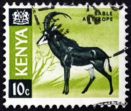 KENYA - CIRCA 1966: a stamp printed in Kenya shows Sable Antelope, Hippotragus Niger, is an Antelope in East and Southern Africa, circa 1966のeditorial素材