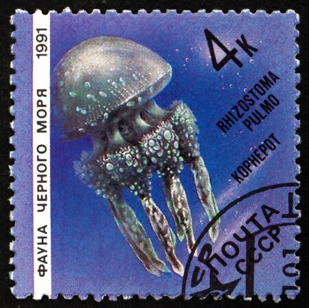 RUSSIA - CIRCA 1991: a stamp printed in Russia shows Barrel Jellyfish, Rhizostoma Pulmo, circa 1991のeditorial素材