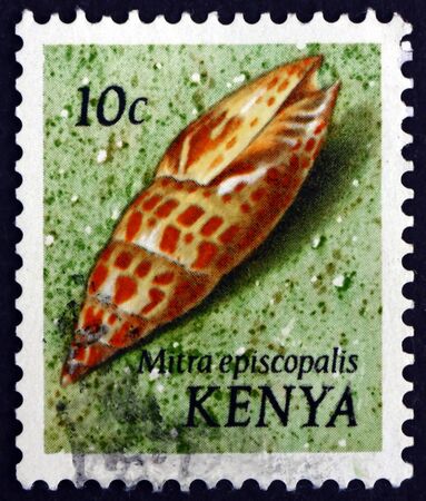 KENYA - CIRCA 1971: a stamp printed in Kenya shows Episcopal Miter, Mitra Episcopalis, is a Species of Large Predatory Sea Snail, circa 1971のeditorial素材