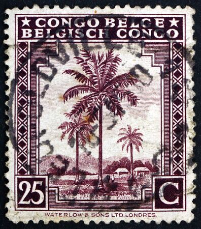 BELGIAN CONGO - CIRCA 1952: a stamp printed in Belgian Congo shows Oil Palms, circa 1982のeditorial素材