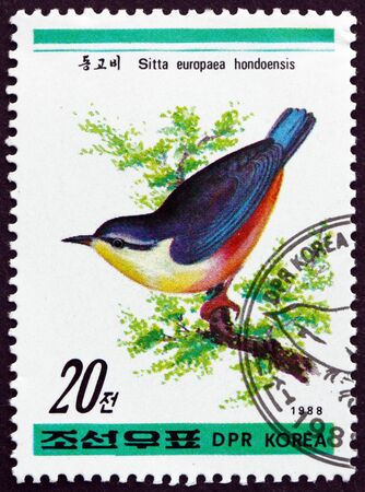 NORTH KOREA - CIRCA 1988: a stamp printed in North Korea shows European Nuthatch, Sitta Europaea, is a Small Passerine Bird, circa 1988のeditorial素材