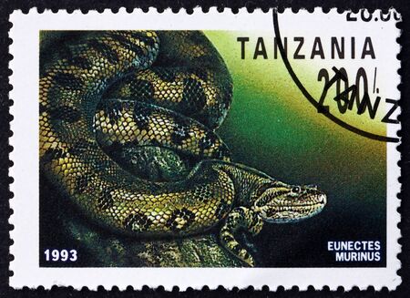 TANZANIA - CIRCA 1993: a stamp printed in Tanzania shows green anaconda, eunectes murinus, snake, circa 1993のeditorial素材