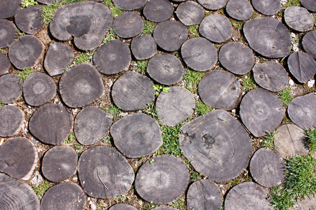 Wood logs pavement texture, closeupの写真素材