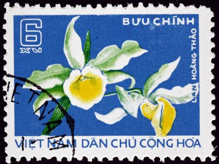 VIETNAM - CIRCA 1976: a stamp printed in Vietnam shows Lan Hoang Thao Orchid, circa 1976のeditorial素材