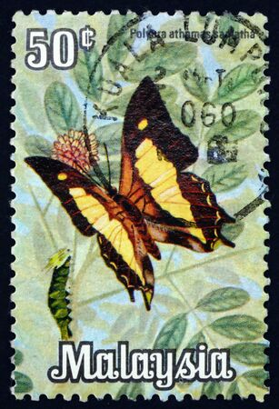 MALAYSIA - CIRCA 1970: a stamp printed in Malaysia shows common nawab, polyura athamas, is a butterfly found in tropical Asia, circa 1970のeditorial素材