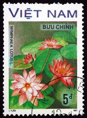 VIETNAM - CIRCA 1988: a stamp printed in Vietnam shows water lily, nymphaea lotus, is a flowering plant, circa 1988のeditorial素材