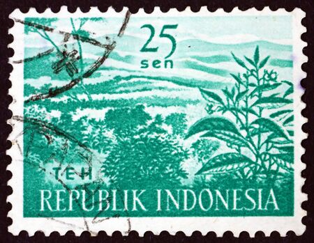 INDONESIA - CIRCA 1960: a stamp printed in Indonesia shows tea plantation, agriculture, circa 1960のeditorial素材