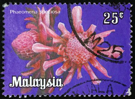 MALAYSIA - CIRCA 1979: a stamp printed in Malaysia shows etlingera elatior, phaeomeria speciosa, is a species of herbaceous perennial plant, circa 1979のeditorial素材