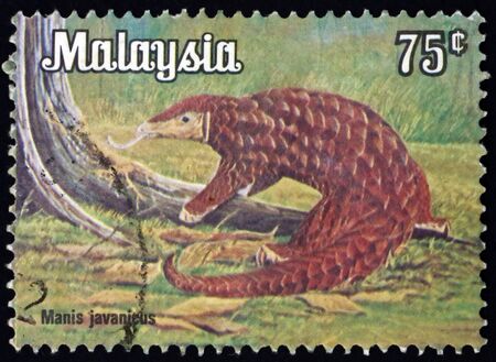 MALAYSIA - CIRCA 1979: a stamp printed in Malaysia shows Malayan pangolin, manis javanicus, is a species of pangolin, circa 1979のeditorial素材