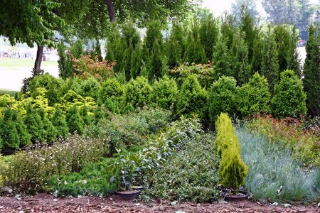 Plants exposed on Floraart, 53. International Garden Exhibition in Zagreb, Croatiaの写真素材