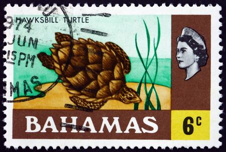 BAHAMAS - CIRCA 1971: a stamp printed in Bahamas shows hawksbill turtle (eretmochelys imbricata), is a sea turtle, fish, circa 1971のeditorial素材