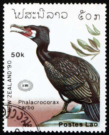 LAOS - CIRCA 1990: a stamp printed in Laos shows great cormorant, phalacrocorax carbo, is a seabird, circa 1990のeditorial素材
