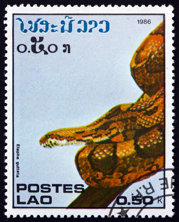 LAOS - CIRCA 1986: a stamp printed in Laos shows corn snake, elaphe guttata, is a North American...