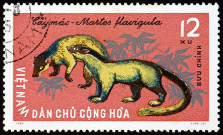 VIETNAM - CIRCA 1965: a stamp printed in Vietnam shows yellow-throated marten, martes flavigula, is a marten species native to Asia, circa 1965のeditorial素材