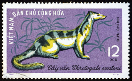 VIETNAM - CIRCA 1965: a stamp printed in Vietnam shows Owstons palm civet, chrotogale owstoni, is a civet native to Vietnam, Laos, and southern China, circa 1965のeditorial素材