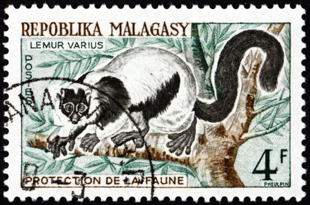 MALAGASY - CIRCA 1961: a stamp printed in Malagasy, Madagascar shows ruffed lemur, lemur varius, are the largest extant lemurs found only on the island of Madagascar, circa 1961の写真素材