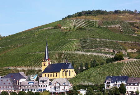 The Mosel valley is one of the most beautiful parts of Germany  On both sides of the river, romantic...
