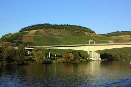 Vineyards on the banks of the Moselle riverの写真素材