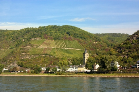 The Rhine valley is one of the most beautiful parts of Germany. の写真素材