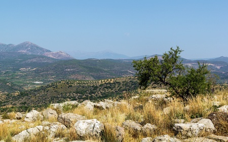 view of vicinities from the hill Mycenae, Greeceの写真素材