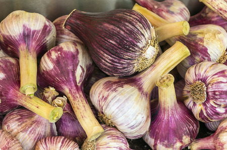  Fresh Garlic Cloves